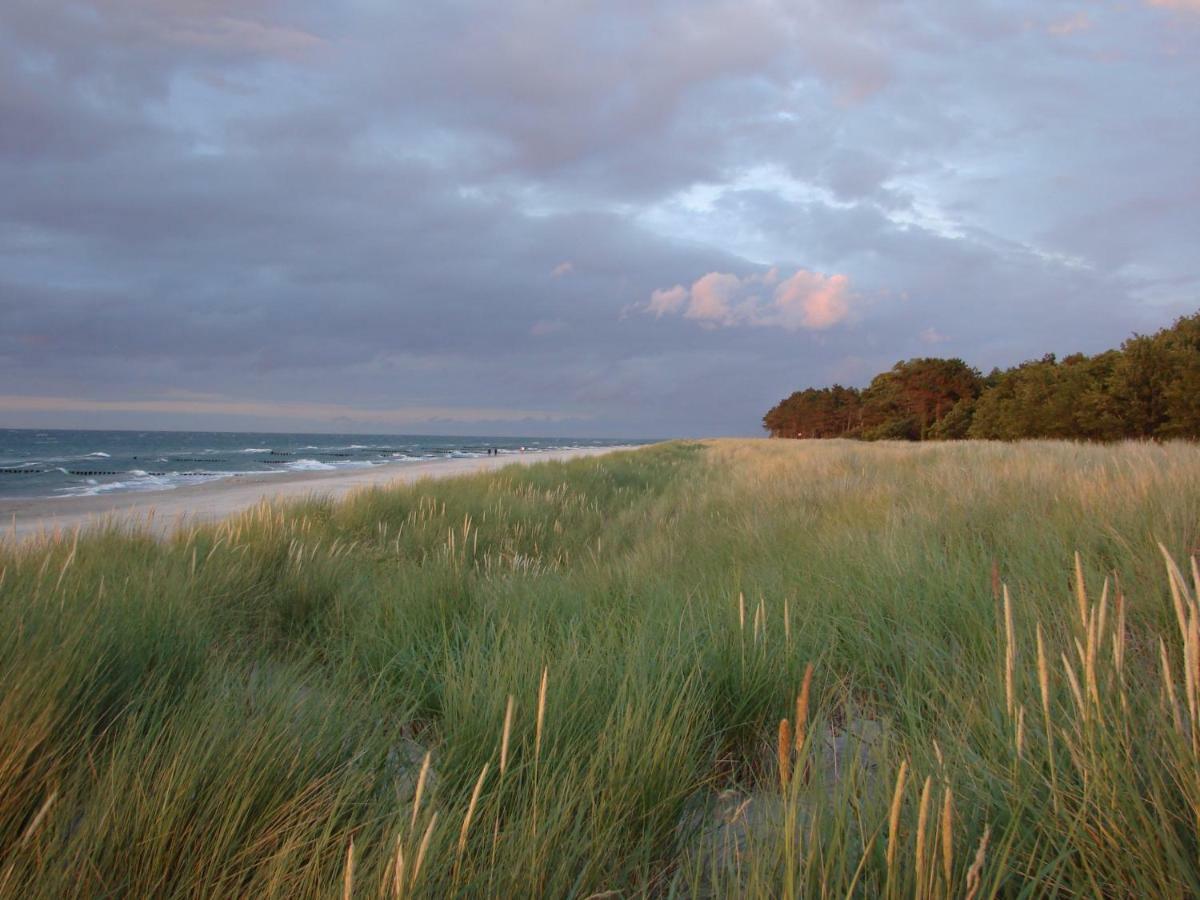 Ferienwohnung Am Strand ซิงสท์ ภายนอก รูปภาพ